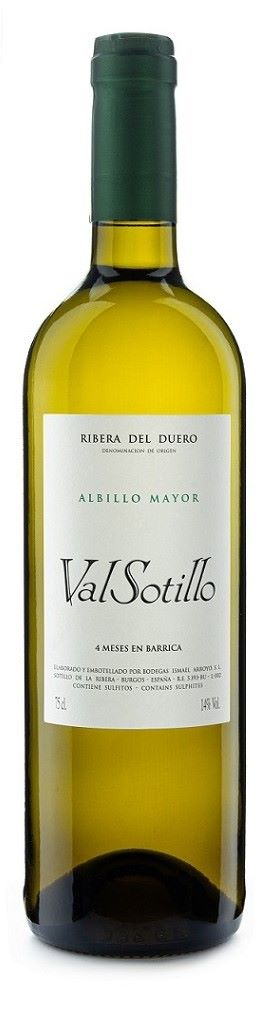 Albillo Mayor Barrica 2022 (kopia)