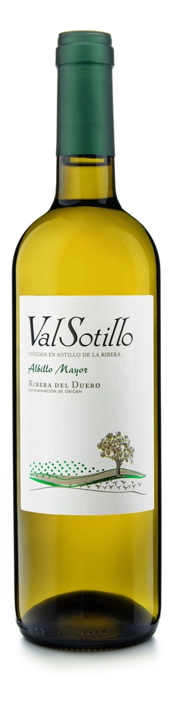 Albillo Mayor Barrica 2022 (kopia)